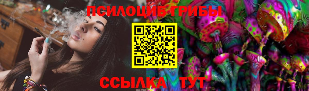 закладки  Галлюциногенные грибы Cubensis  Псилоцибиновые грибы Cubensis  Вход с VPN  Нижний Новгород 